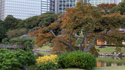 都心散歩　晩秋夕暮れの浜離宮
