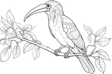 Naklejka premium bird, animal, nature, flying, wildlife, illustration, wing, design, vector, feather, silhouette, beak, colourful, flight, horizontal, no people, art, black, blue, sky, tree branch, beautiful, freedom,