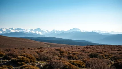 Selbstklebende Fototapeten heathland landscape with snow-capped mountains in the background, heathland, mountains, peaceful surroundings © Atittaya