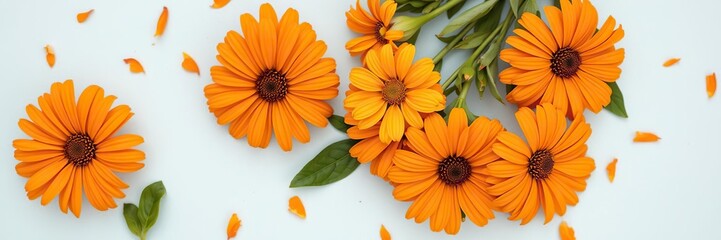 Fototapeta premium Overlapping orange flowers on a light blue surface with some scattered green leaves for added depth, layered composition, overlapping blooms, colorful flowers