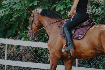 A horse and rider enjoy a peaceful ride in a lush, green outdoor setting. The equestrian is dressed...