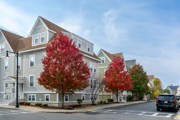 Beautiful residential neighborhood on an autumn day in Brighton, Massachusetts, USA