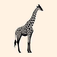 Vector animal illustration, silhouette of a giraffe with a long neck