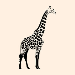 Vector animal illustration, silhouette of a giraffe with a long neck