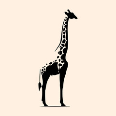 Vector animal illustration, silhouette of a giraffe with a long neck © My