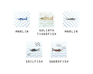 Set of editable fish vector templates.	
