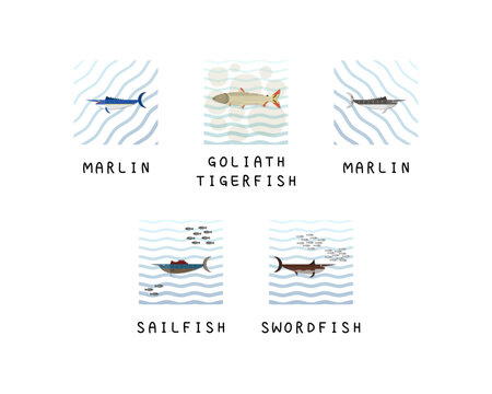 Set of editable fish vector templates.	