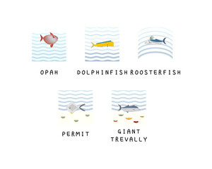 Set of editable fish vector templates.	