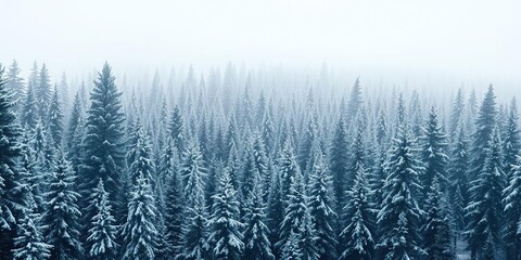 Dense forest under a blanket of snow, forest landscape, dense foliage, snowy woods