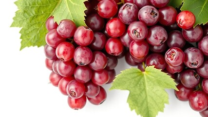 Fototapeta premium Fresh bunch of red grapes with green leaf isolated on a white background, nature, grapes