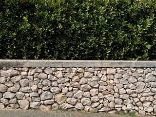 old handmade stone wall with green leaves background