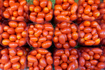 Top View of Fresh Cherry Tomatoes Display on fresh market stall. A vibrant close-up of fresh bright red cherry tomatoes neatly arranged in plastic bags at a market.