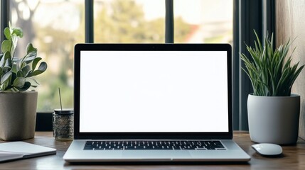 Fototapeta premium Modern Laptop Workspace with Plants