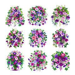 Wild Petunias Beautiful Flowers Watercolor Floral Vector Illustration.