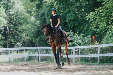 Young woman riding a horse in an outdoor arena on a sunny day, showcasing equestrian sports and horse training