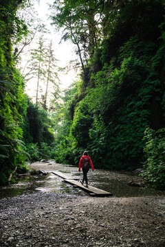 Woman hiking thru fern canyon in California