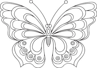 Hand drawn Butterfly outline illustration