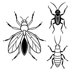 insects