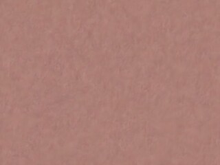 Fototapeta premium A dusty rose-colored background with a velvety texture, giving a soft, romantic touch to the scene 