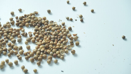 Dried coriander seeds or ketumbar isolated on white background.