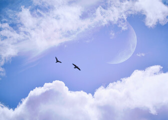 Two raven flying free in a blue sky with clouds and a moon.