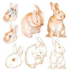 Rabbits element set. hand draw watercolor painted isolated on white background. for design such as card, wallpaper, textile and on so.