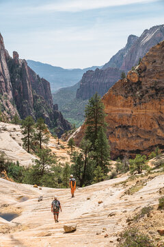 People hiking in a canyon at Zion National park canyoneering