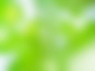 Green nature background bokeh leaf nature summer springtime blur sunlight natural fresh foliage environment ecosystem zero carbon envergy change backdrop, mockup product aesthetic beauty organic.