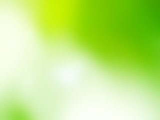 Green nature background bokeh leaf nature summer springtime blur sunlight natural fresh foliage environment ecosystem zero carbon envergy change backdrop, mockup product aesthetic beauty organic.