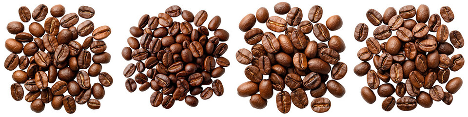 Four types of roasted coffee beans arranged on a white background for culinary use.