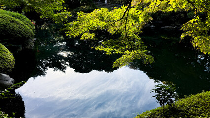 The beautiful views in Tokyo