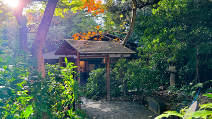 The beautiful views in Tokyo