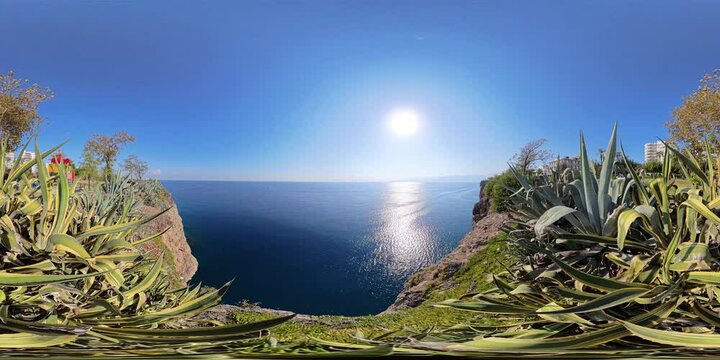 VR A vibrant 360-degree view from a coastal cliff with sharp agave plants in the foreground, overlooking the vast blue ocean under a bright sun, creating a unique and immersive scene.