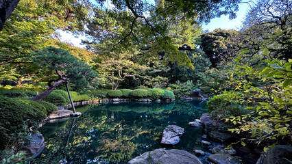 The beautiful views in Tokyo
