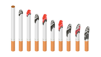 Realistic Cigarette Burn Stages: Fresh to Ashy Butts. Vector of Tobacco and Harmful Cigar Burning Process.