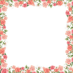 Hand-drawn frame of white lily paired with pink rose