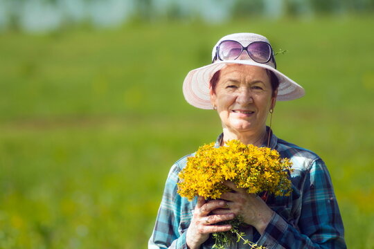 portrait of a beautiful mature woman with a bouquet of medicinal plant St. John's wort on a green meadow on a summer sunny day