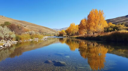 Fototapeta premium Tranquil river reflecting autumn foliage under clear blue sky