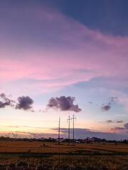 Evening blue sky with pink clouds on a background of palm trees