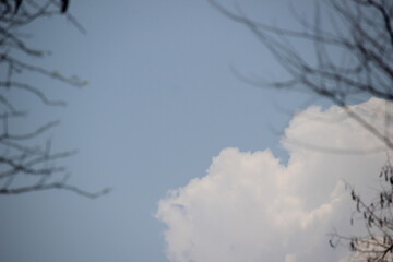 close up texture of white clouds in the blue sky