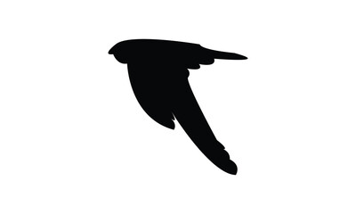 Flying Swiftlet Bird Silhouette Design  And Illustration. 