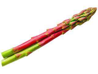 Colorful Fresh Asparagus on White Background