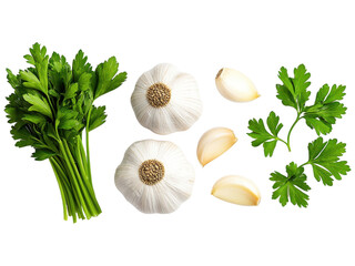 Fresh Garlic and Parsley on a White Background