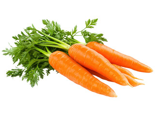 Fresh Carrots with Green Tops on White Background