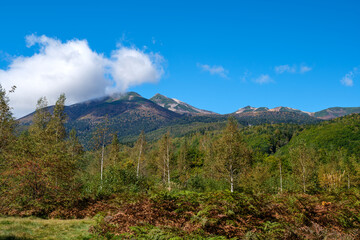 乗鞍連峰とすすき