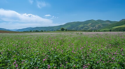 Vibrant Meadow with Rolling Hills Under Blue Sky