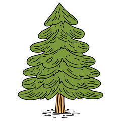 a green pine tree with a brown trunk