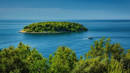 Fototapeta premium Serene Island Landscape with Clear Blue Waters