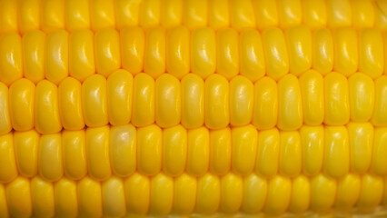 Macro close-up of a corn cob, revealing the intricate patterns and fine details of the kernels. Perfect for poster or wallpaper design, celebrating the beauty and complexity of natural food textures.