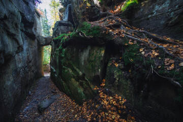 A winding canyon surrounded by towering rock walls and colorful autumn leaves, illuminated by soft sunlight filtering through the trees, invites exploration and adventure